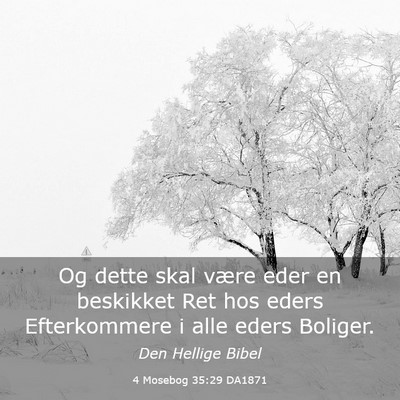 Picture 03 - 4 Mosebog 35:29 DA1871 - Og dette skal være eder en beskikket Ret hos - Bible Verse Picture