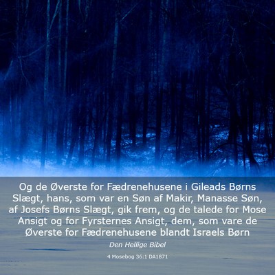 Picture 03 - 4 Mosebog 36:1 DA1871 - Og de Øverste for Fædrenehusene i Gileads - Bible Verse Picture
