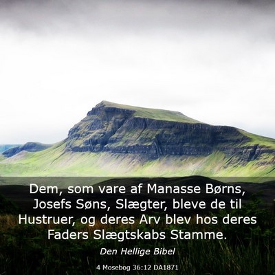 Picture 03 - 4 Mosebog 36:12 DA1871 - Dem, som vare af Manasse Børns, Josefs Søns, - Bible Verse Picture