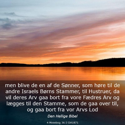 Picture 03 - 4 Mosebog 36:3 DA1871 - men blive de en af de Sønner, som høre til de - Bible Verse Picture
