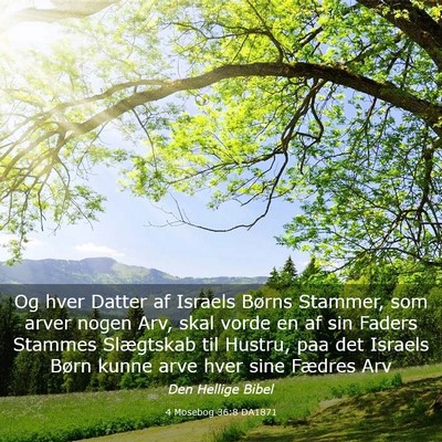 Picture 03 - 4 Mosebog 36:8 DA1871 - Og hver Datter af Israels Børns Stammer, som - Bible Verse Picture