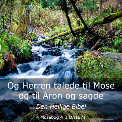 Picture 03 - 4 Mosebog 4:1 DA1871 - Og Herren talede til Mose og til Aron og - Bible Verse Picture