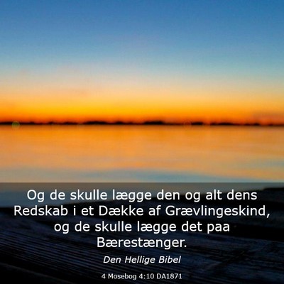 Picture 03 - 4 Mosebog 4:10 DA1871 - Og de skulle lægge den og alt dens Redskab i et - Bible Verse Picture