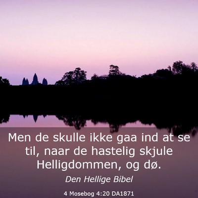 Picture 03 - 4 Mosebog 4:20 DA1871 - Men de skulle ikke gaa ind at se til, naar de - Bible Verse Picture