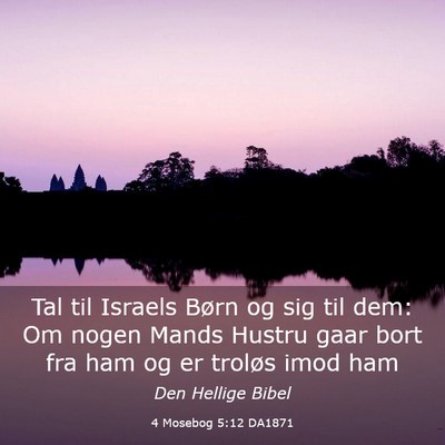 Picture 03 - 4 Mosebog 5:12 DA1871 - Tal til Israels Børn og sig til dem: Om nogen - Bible Verse Picture