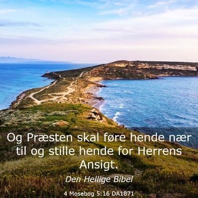 Picture 03 - 4 Mosebog 5:16 DA1871 - Og Præsten skal føre hende nær til og stille - Bible Verse Picture