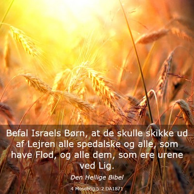 Picture 03 - 4 Mosebog 5:2 DA1871 - Befal Israels Børn, at de skulle skikke ud af - Bible Verse Picture