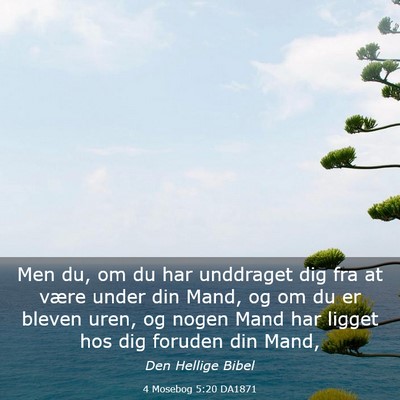 Picture 03 - 4 Mosebog 5:20 DA1871 - Men du, om du har unddraget dig fra at være - Bible Verse Picture