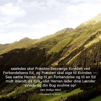 Picture 03 - 4 Mosebog 5:21 DA1871 - saaledes skal Præsten besværge Kvinden ved - Bible Verse Picture
