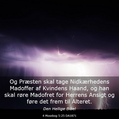 Picture 03 - 4 Mosebog 5:25 DA1871 - Og Præsten skal tage Nidkærhedens Madoffer af - Bible Verse Picture