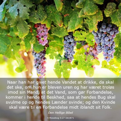 Picture 03 - 4 Mosebog 5:27 DA1871 - Naar han har givet hende Vandet at drikke, da - Bible Verse Picture