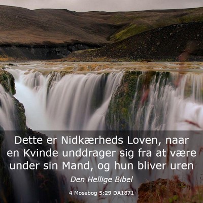Picture 03 - 4 Mosebog 5:29 DA1871 - Dette er Nidkærheds Loven, naar en Kvinde - Bible Verse Picture