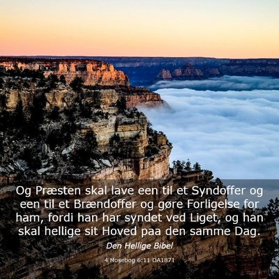 Picture 03 - 4 Mosebog 6:11 DA1871 - Og Præsten skal lave een til et Syndoffer og een - Bible Verse Picture
