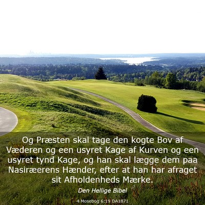 Picture 03 - 4 Mosebog 6:19 DA1871 - Og Præsten skal tage den kogte Bov af Væderen - Bible Verse Picture