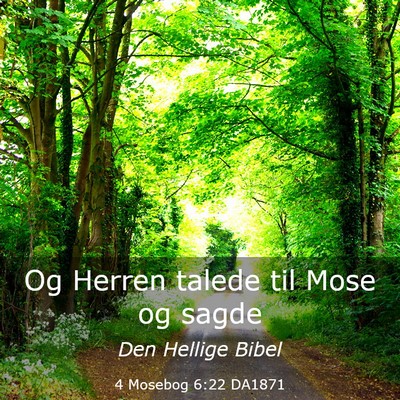 Picture 03 - 4 Mosebog 6:22 DA1871 - Og Herren talede til Mose og - Bible Verse Picture