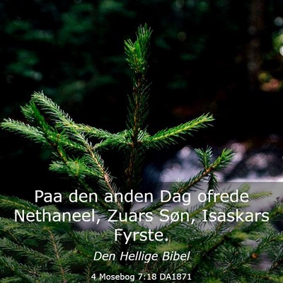 Picture 03 - 4 Mosebog 7:18 DA1871 - Paa den anden Dag ofrede Nethaneel, Zuars Søn, - Bible Verse Picture
