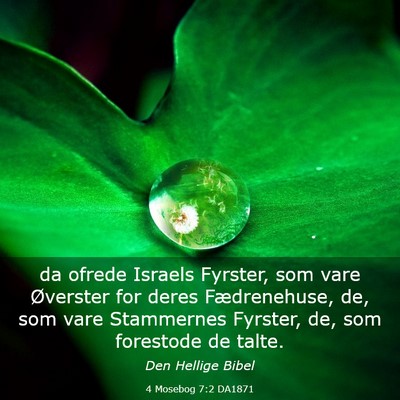 Picture 03 - 4 Mosebog 7:2 DA1871 - da ofrede Israels Fyrster, som vare Øverster for - Bible Verse Picture