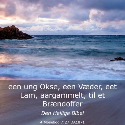 Picture 03 - 4 Mosebog 7:27 DA1871 - een ung Okse, een Væder, eet Lam, aargammelt, - Bible Verse Picture