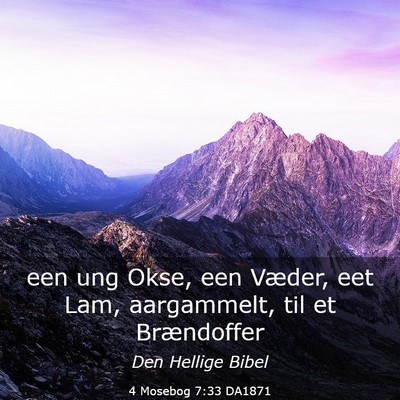 Picture 03 - 4 Mosebog 7:33 DA1871 - een ung Okse, een Væder, eet Lam, aargammelt, - Bible Verse Picture