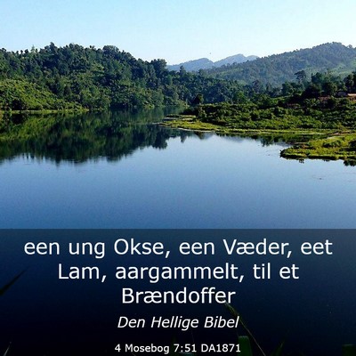 Picture 03 - 4 Mosebog 7:51 DA1871 - een ung Okse, een Væder, eet Lam, aargammelt, - Bible Verse Picture