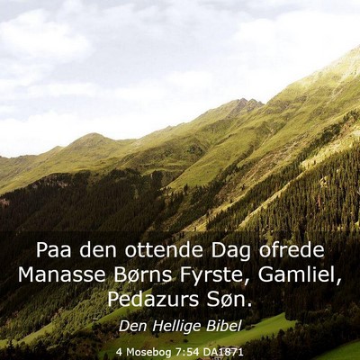 Picture 03 - 4 Mosebog 7:54 DA1871 - Paa den ottende Dag ofrede Manasse Børns Fyrste, - Bible Verse Picture
