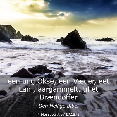 Picture 03 - 4 Mosebog 7:57 DA1871 - een ung Okse, een Væder, eet Lam, aargammelt, - Bible Verse Picture