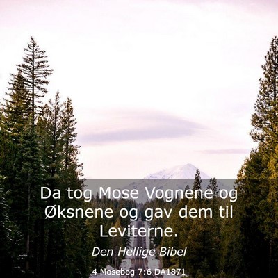 Picture 03 - 4 Mosebog 7:6 DA1871 - Da tog Mose Vognene og Øksnene og gav dem til - Bible Verse Picture