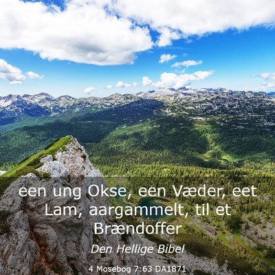 Picture 03 - 4 Mosebog 7:63 DA1871 - een ung Okse, een Væder, eet Lam, aargammelt, - Bible Verse Picture