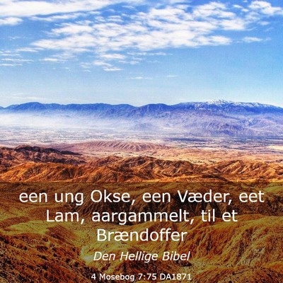 Picture 03 - 4 Mosebog 7:75 DA1871 - een ung Okse, een Væder, eet Lam, aargammelt, - Bible Verse Picture