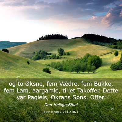 Picture 03 - 4 Mosebog 7:77 DA1871 - og to Øksne, fem Vædre, fem Bukke, fem Lam, - Bible Verse Picture