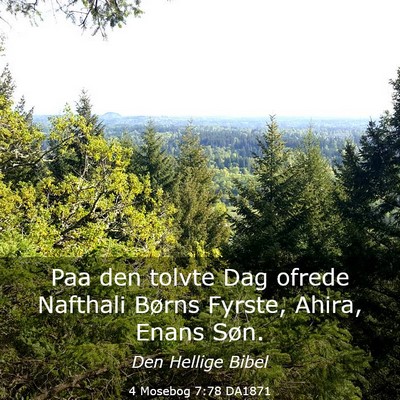 Picture 03 - 4 Mosebog 7:78 DA1871 - Paa den tolvte Dag ofrede Nafthali Børns Fyrste, - Bible Verse Picture