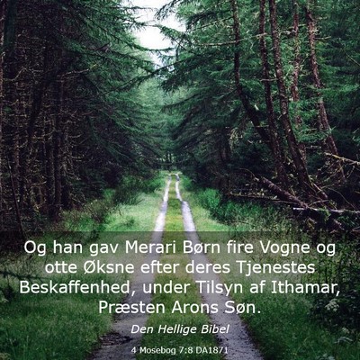 Picture 03 - 4 Mosebog 7:8 DA1871 - Og han gav Merari Børn fire Vogne og otte Øksne - Bible Verse Picture