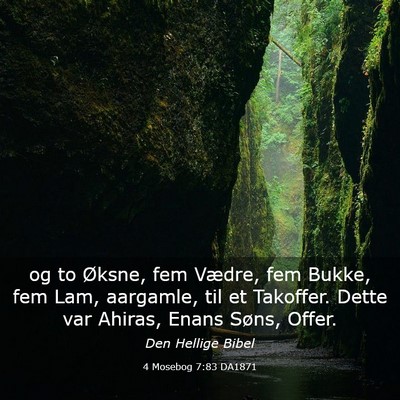 Picture 03 - 4 Mosebog 7:83 DA1871 - og to Øksne, fem Vædre, fem Bukke, fem Lam, - Bible Verse Picture