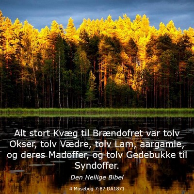 Picture 03 - 4 Mosebog 7:87 DA1871 - Alt stort Kvæg til Brændofret var tolv Okser, - Bible Verse Picture