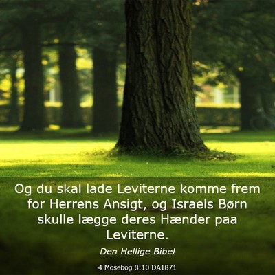 Picture 03 - 4 Mosebog 8:10 DA1871 - Og du skal lade Leviterne komme frem for Herrens - Bible Verse Picture