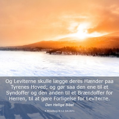 Picture 03 - 4 Mosebog 8:12 DA1871 - Og Leviterne skulle lægge deres Hænder paa - Bible Verse Picture
