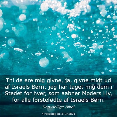 Picture 03 - 4 Mosebog 8:16 DA1871 - Thi de ere mig givne, ja, givne midt ud af - Bible Verse Picture