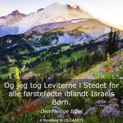 Picture 03 - 4 Mosebog 8:18 DA1871 - Og jeg tog Leviterne i Stedet for alle - Bible Verse Picture