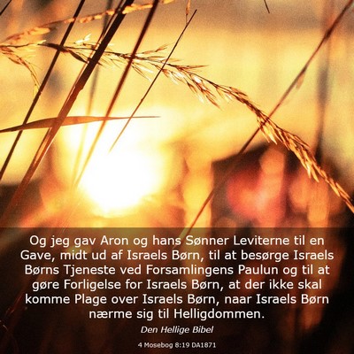 Picture 03 - 4 Mosebog 8:19 DA1871 - Og jeg gav Aron og hans Sønner Leviterne til en - Bible Verse Picture