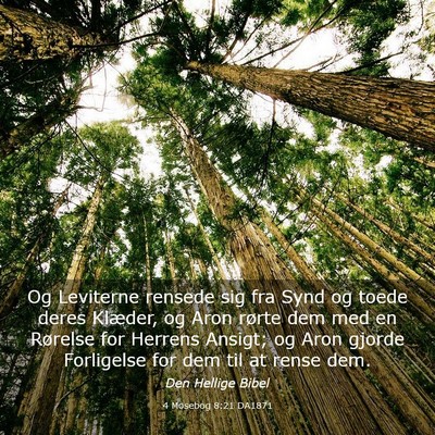 Picture 03 - 4 Mosebog 8:21 DA1871 - Og Leviterne rensede sig fra Synd og toede deres - Bible Verse Picture