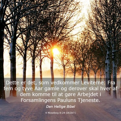 Picture 03 - 4 Mosebog 8:24 DA1871 - Dette er det, som vedkommer Leviterne: Fra fem og - Bible Verse Picture