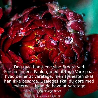Picture 03 - 4 Mosebog 8:26 DA1871 - Dog maa han tjene sine Brødre ved Forsamlingens - Bible Verse Picture