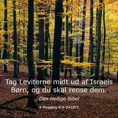 Picture 03 - 4 Mosebog 8:6 DA1871 - Tag Leviterne midt ud af Israels Børn, og du - Bible Verse Picture