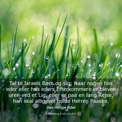 Picture 03 - 4 Mosebog 9:10 DA1871 - Tal til Israels Børn og sig: Naar nogen hos eder - Bible Verse Picture