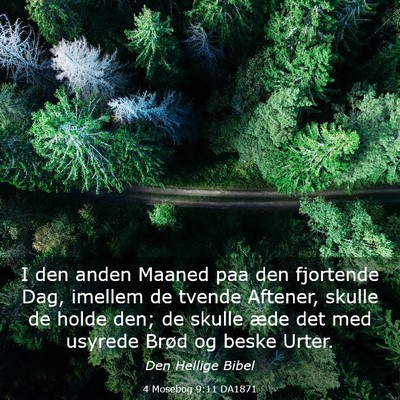 Picture 03 - 4 Mosebog 9:11 DA1871 - I den anden Maaned paa den fjortende Dag, imellem - Bible Verse Picture