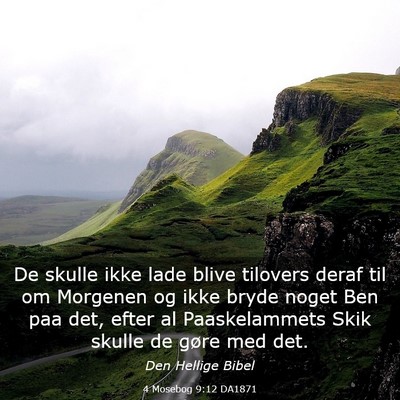 Picture 03 - 4 Mosebog 9:12 DA1871 - De skulle ikke lade blive tilovers deraf til om - Bible Verse Picture