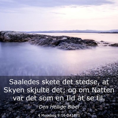 Picture 03 - 4 Mosebog 9:16 DA1871 - Saaledes skete det stedse, at Skyen skjulte det; - Bible Verse Picture