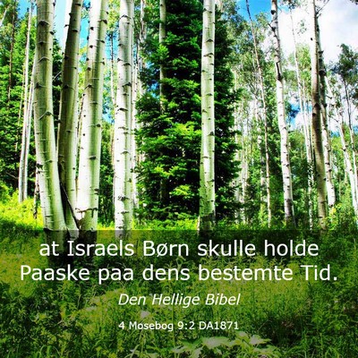 Picture 03 - 4 Mosebog 9:2 DA1871 - at Israels Børn skulle holde Paaske paa dens - Bible Verse Picture