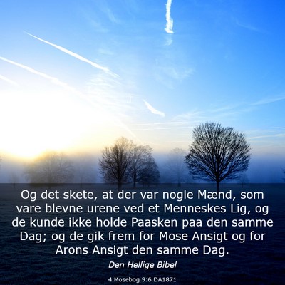 Picture 03 - 4 Mosebog 9:6 DA1871 - Og det skete, at der var nogle Mænd, som vare - Bible Verse Picture