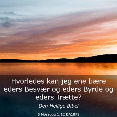 Picture 03 - 5 Mosebog 1:12 DA1871 - Hvorledes kan jeg ene bære eders Besvær og - Bible Verse Picture